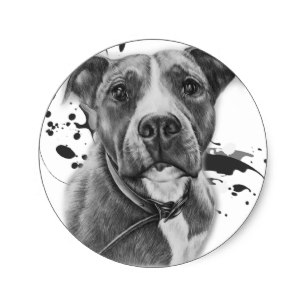 307x307 pitbull dog drawing gifts on zazzle ca - Pitbull Dog Drawing