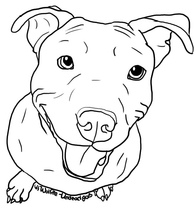 629x700 pitbull dog face images ink in art, pitbull drawing, drawings - Pitbull Dog Drawing