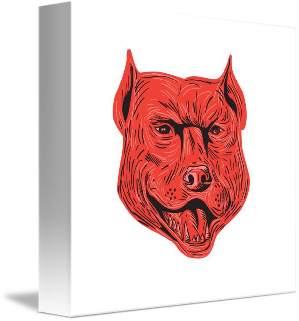606x650 pitbull dog mongrel head drawing - Pitbull Dog Drawing