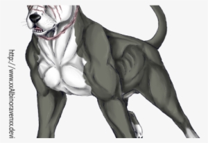 300x206 pitbull dog png, free hd pitbull dog transparent image - Pitbull Dog Drawing