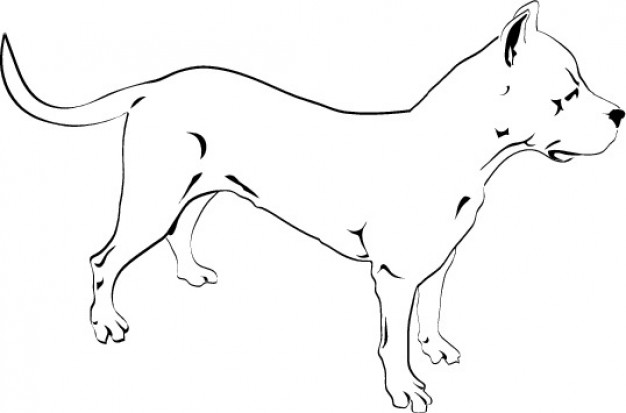 626x413 pitbull dog drawing icon vector vector free download - Pitbull Dog Drawing