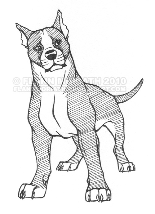 500x690 simple pitbull dog drawing - Pitbull Dog Drawing