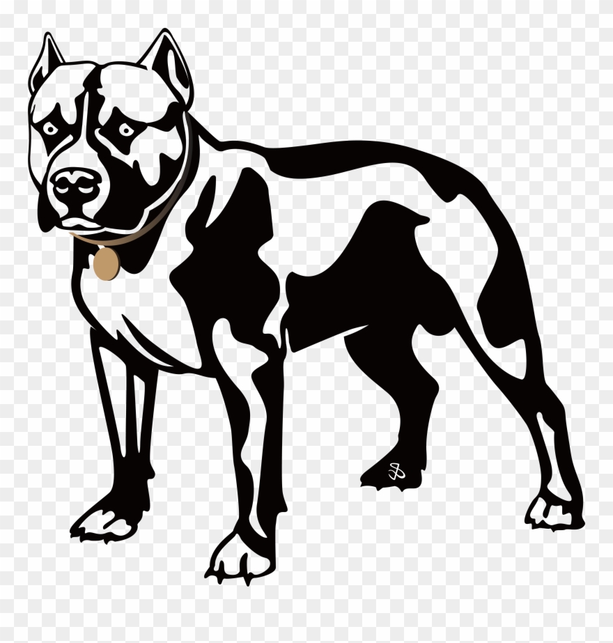 880x923 free download boxing drawing bull dog - Pitbull Dog Drawing
