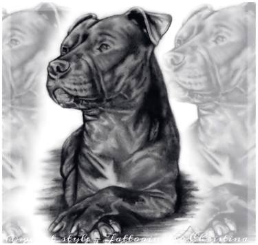 375x356 pitbull drawing - Pitbull Drawings