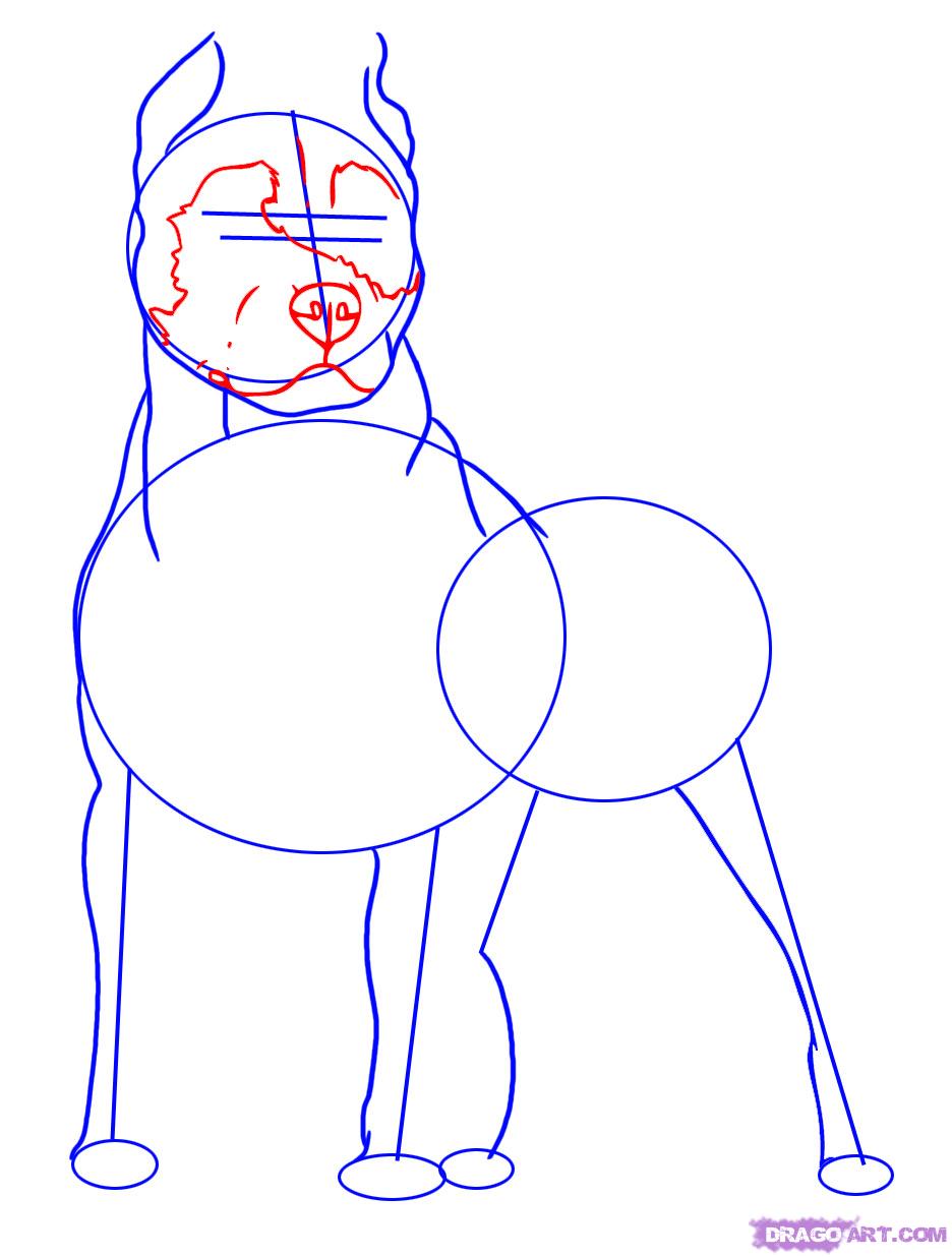 936x1236 How To Draw A Pitbull, Step - Pitbull Drawings Step By Step