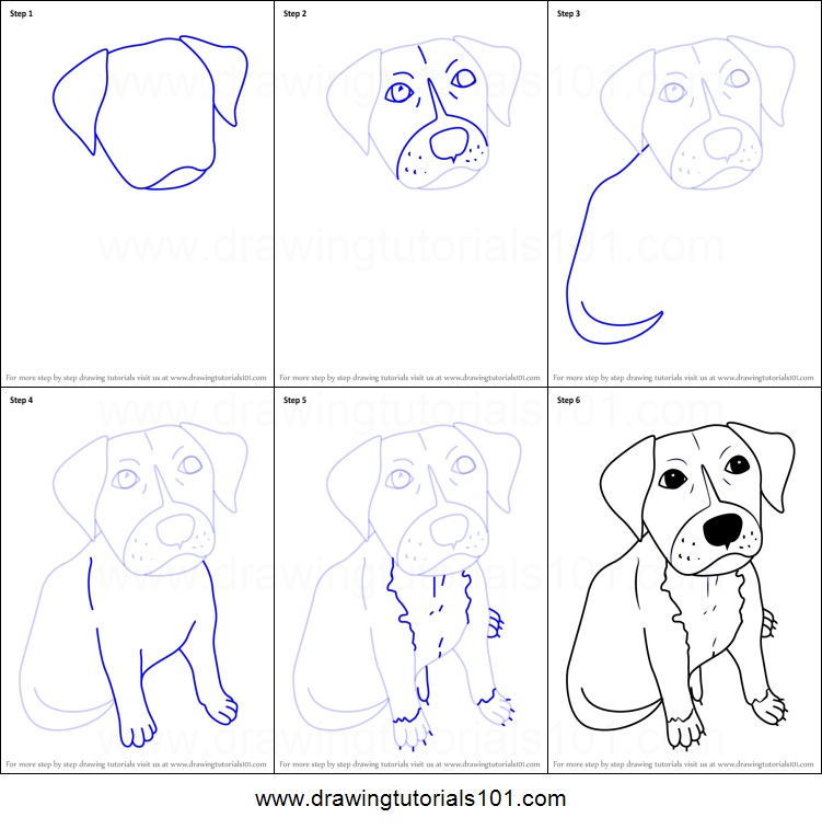 Pitbull Drawings Step By Step at PaintingValley.com | Explore ...