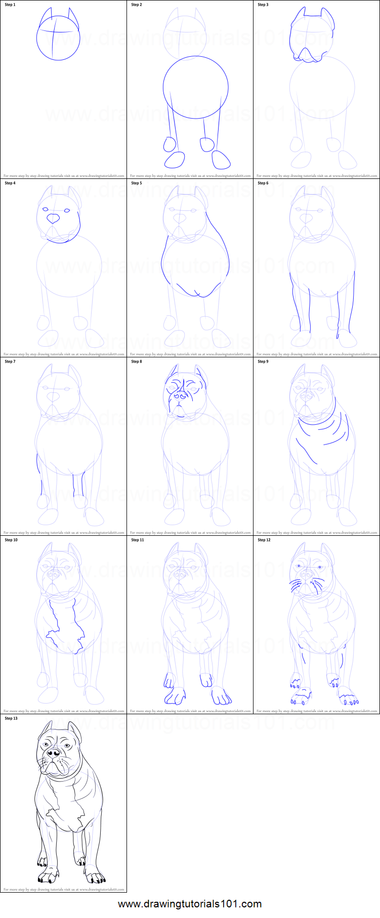 751x1811 How To Draw A Pitbull Printable Step - Pitbull Drawings Step By Step