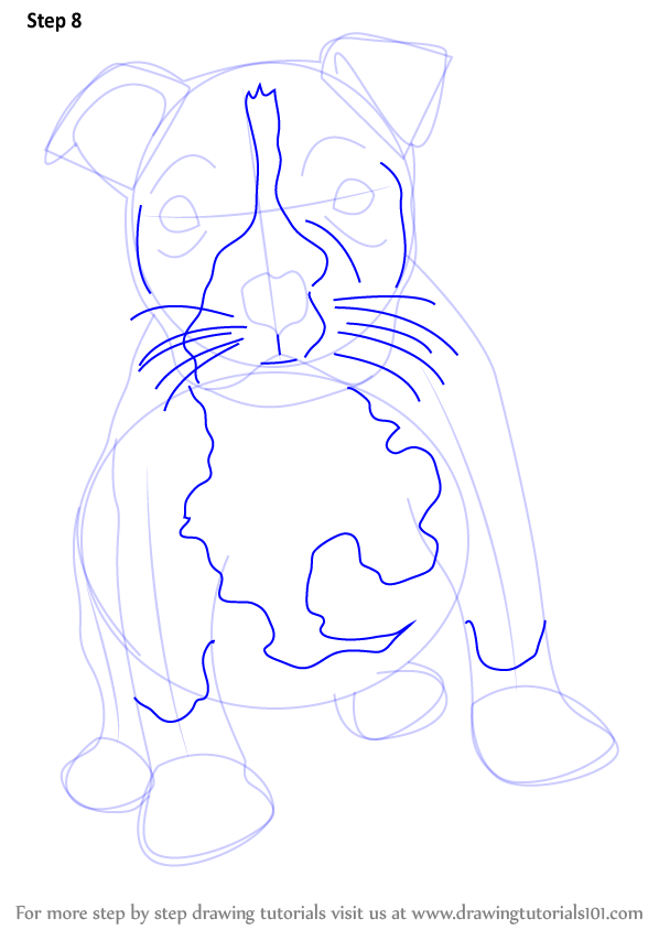 598x844 Learn How To Draw A Pitbull Puppy - Pitbull Drawings Step By Step