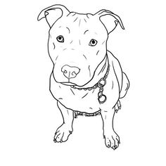 236x236 To Go Puppy Drawing, Pitbull - Pitbull Drawings Step By Step