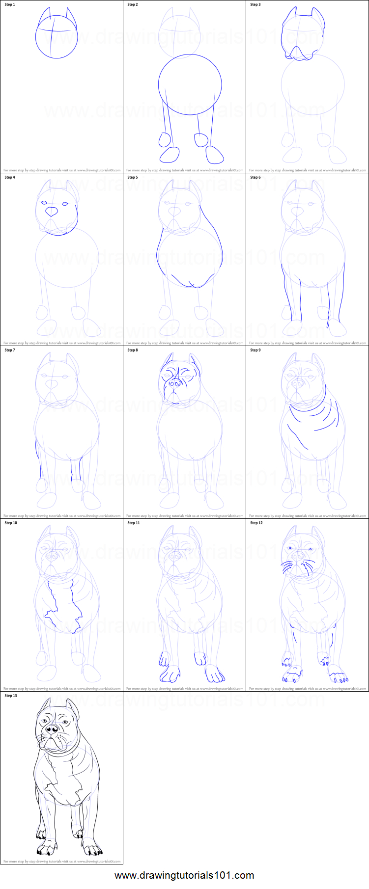 751x1811 Pitbull Drawings Step - Pitbull Drawings Step By Step