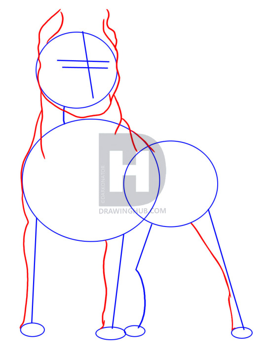 545x720 How To Draw A Pitbull, Step - Pitbull Drawings Step By Step