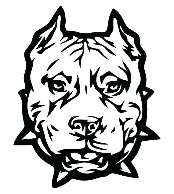 570x635 pitbull coloring pages coloring pages coloring pages drawn pit - Pitbull Face Drawing