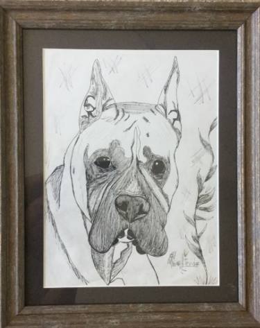 375x473 Pitbull Face Drawing - Pitbull Face Drawing