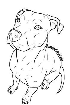 236x354 How To Draw A Pitbull Face - Pitbull Face Drawing