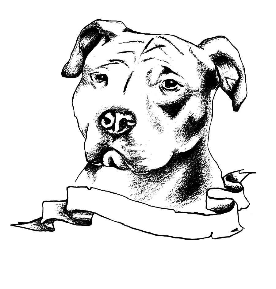 900x943 Drawn Pitbull Face Free Clip Art Stock Illustrations - Pitbull Face Drawing