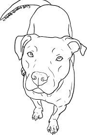180x279 Bildresultat How To Draw A Pitbull Face Painting - Pitbull Face Drawing
