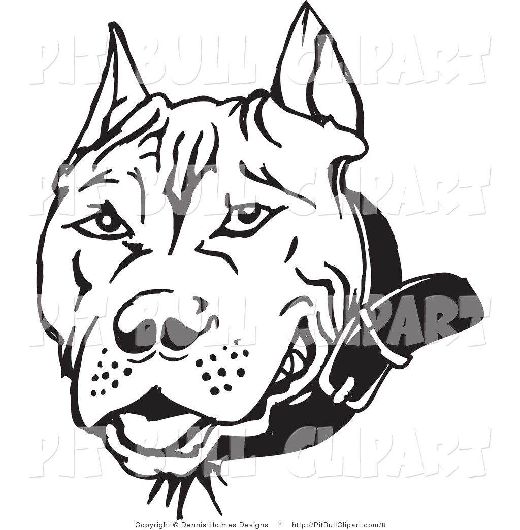 1024x1044 Black And White Pitbull Dog Face Pencil Drawing Drawings Tutorials - Pitbull Face Drawing