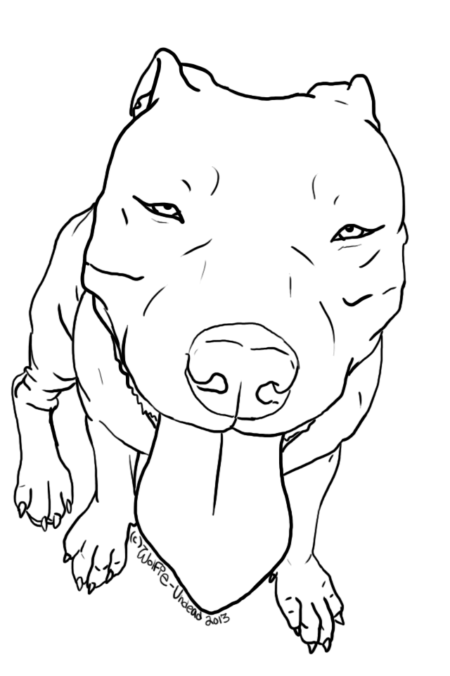 Pitbull Head Drawing