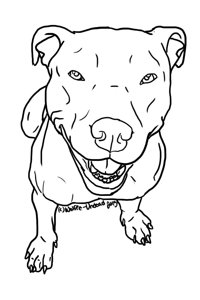 640x960 free pit bull line art - Pitbull Head Drawing