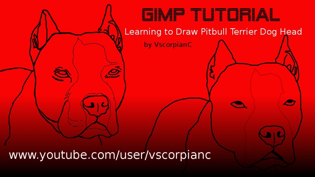 1280x720 gimp tutorial - Pitbull Head Drawing
