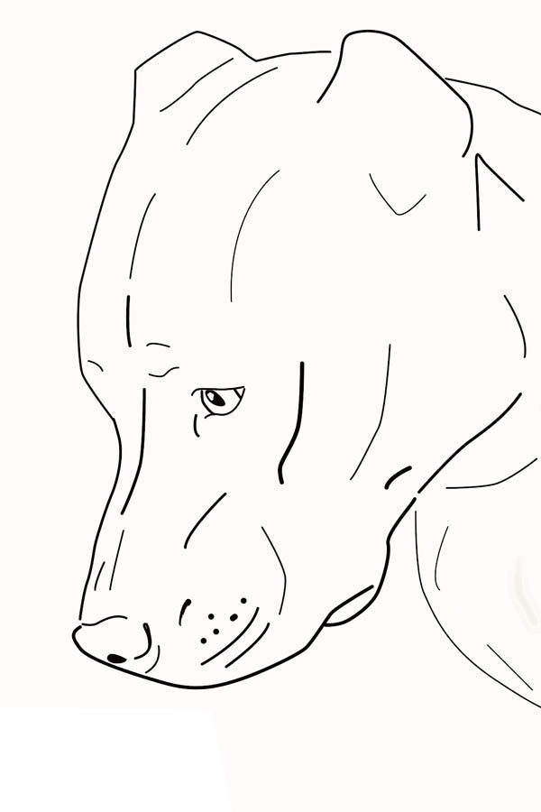 600x900 Head Of Sad Pitbull Coloring - Pitbull Head Drawing