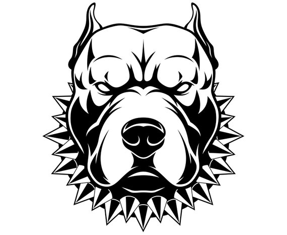 570x466 Pitbull, Pit Bull Terrier, Dog, Cartoon, Graphics,illustration - Pitbull Head Drawing