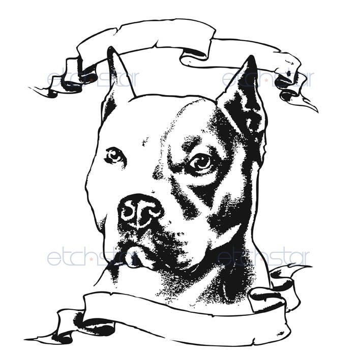 700x700 pitbull head drawings images pitbull art, pitbulls, drawings - Pitbull Head Drawing