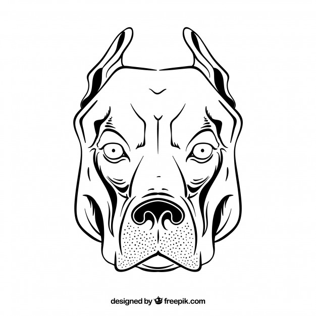 626x626 Pitbull Vectors, Photos And Free Download - Pitbull Head Drawing