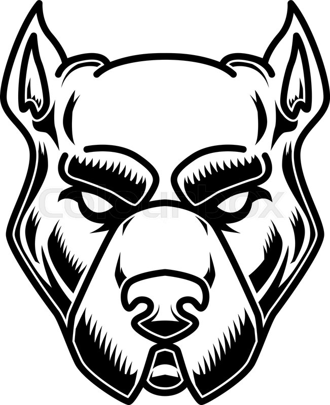 651x800 pitbull head illustration in engraving stock vector colourbox - Pitbull Head Drawing