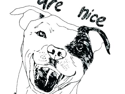 440x330 Pitbull Coloring Pages Coloring Pages - Pitbull Line Drawing