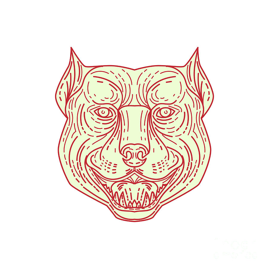 900x900 pitbull dog mongrel head mono line digital art - Pitbull Line Drawing