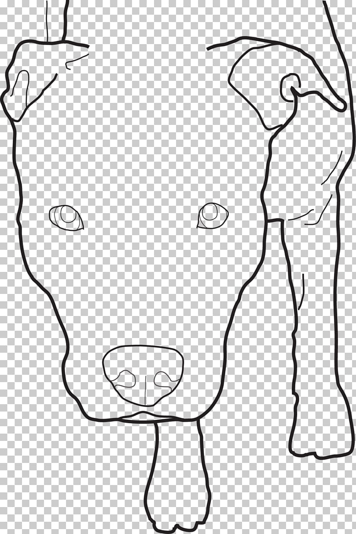728x1090 American Pit Bull Terrier Line Art Drawing Sketch, Pitbull Png - Pitbull Line Drawing
