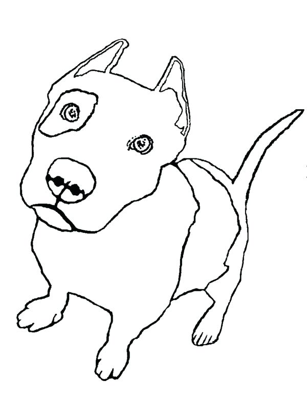 600x782 Pitbull Line Drawing - Pitbull Line Drawing