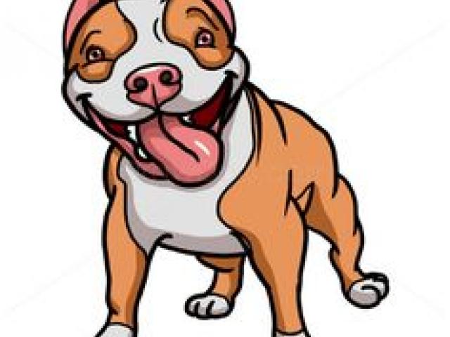 640x480 drawn pit bull pitbull puppy - Pitbull Puppy Drawing