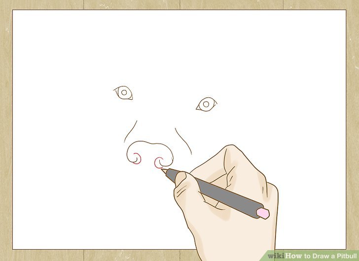 728x529 How To Draw A Pitbull - Pitbull Puppy Drawing