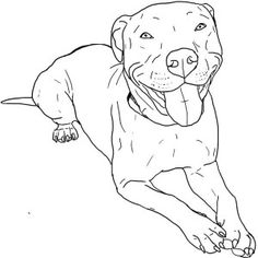 236x236 Huge Collection Of 'pitbull Line Drawing' Download More Than - Pitbull Puppy Drawing