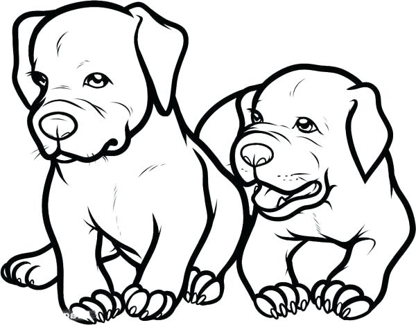 600x469 pitbull puppy coloring pages great free clipart, silhouette - Pitbull Puppy Drawing