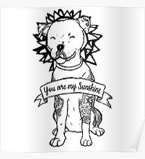 210x230 pitbull puppy drawing posters redbubble - Pitbull Puppy Drawing