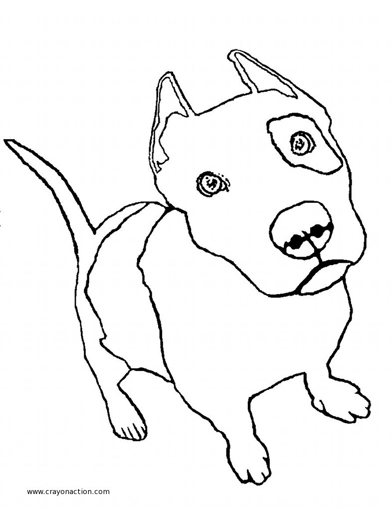 786x1025 Drawings Pitbull Puppies - Pitbull Puppy Drawing