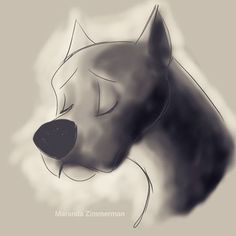 236x236 Pitbull Sketch Drawing Unique Best Pit Bull Drawings Art - Pitbull Sketch Drawing