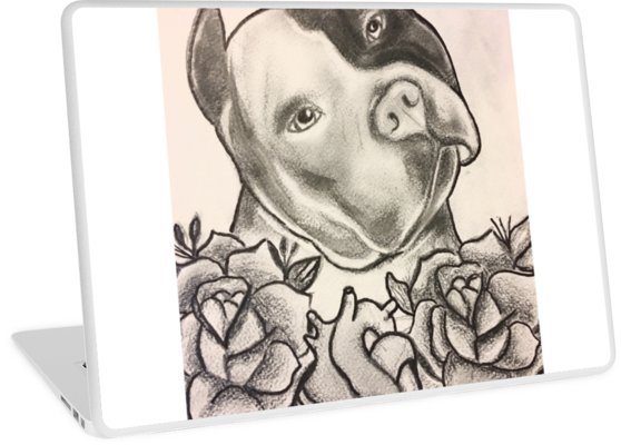558x400 Pitbull Sketch Laptop Skins - Pitbull Sketch Drawing