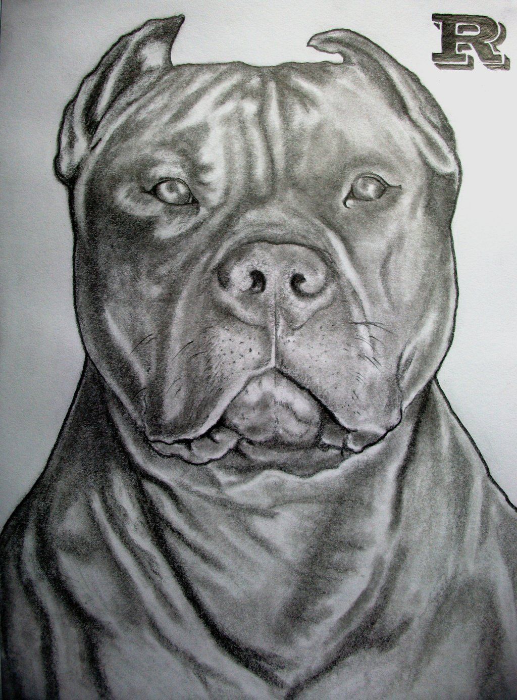 1024x1386 Pitbull Drawing Ideas Insperation Drawing Pitbulls, Drawings - Pitbull Sketch Drawing