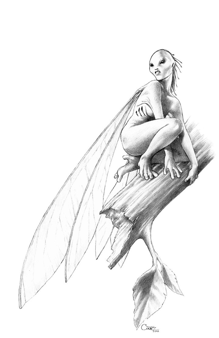 Pixie Drawing at PaintingValley.com | Explore collection of Pixie Drawing