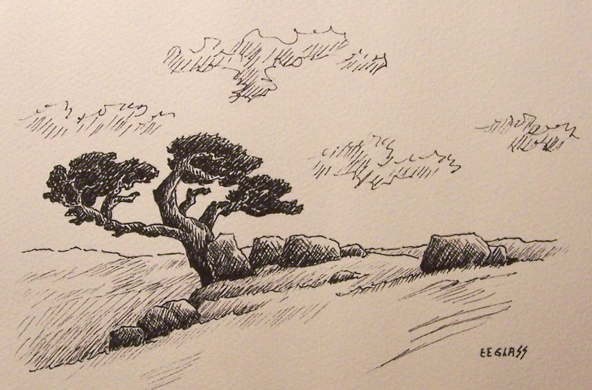 854x562 Emerson Everett Glass - Plains Drawing