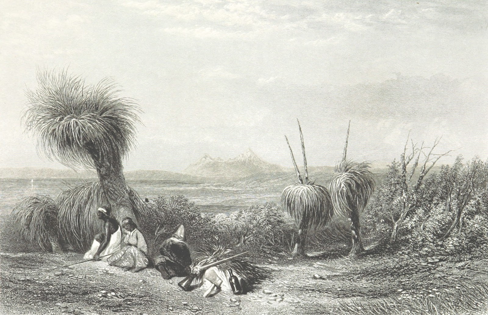 1600x1034 Grass Tree Plains, Victoria - Plains Drawing