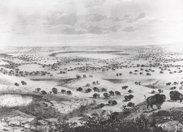 600x435 Archived - Plains Drawing