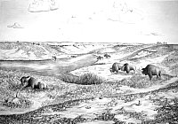 200x140 Bonfire Shelter The Archeology Bone Bed - Plains Drawing