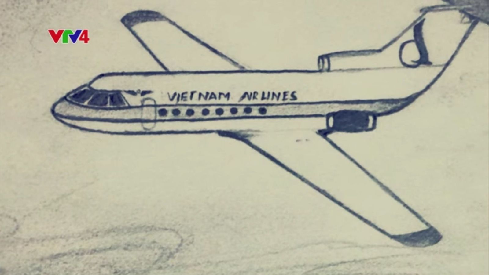 1600x901 annette herfkens was the only survivor of a plane crash and spent - Plane Crash Drawing