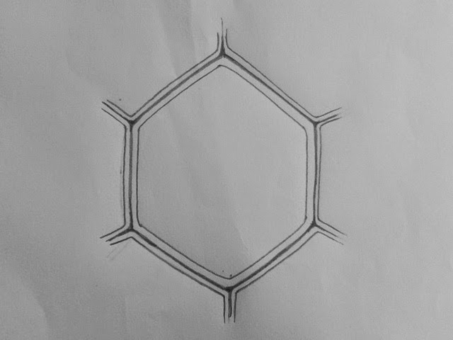 640x480 draw it neat how to draw plant cell - Plant Cell Drawing