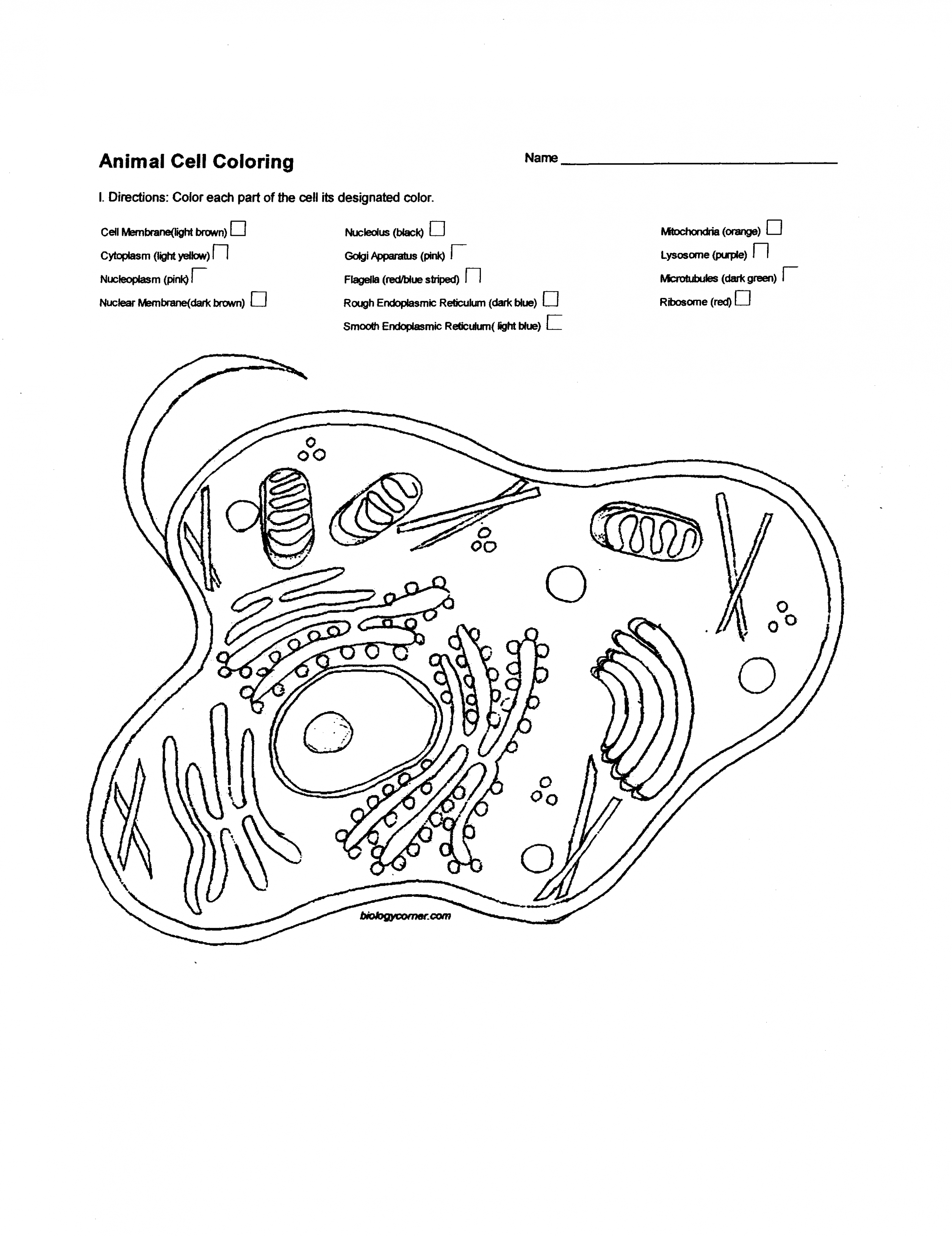 33 Draw And Label A Mitochondria - Labels Design Ideas 2020